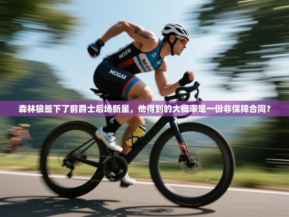 森林狼签下了前爵士后场新星,他得到的大概率是一份非保障合同? 第2张