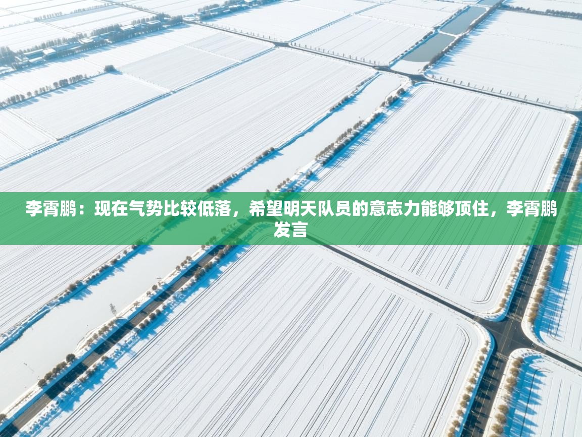 李霄鹏：现在气势比较低落，希望明天队员的意志力能够顶住，李霄鹏发言